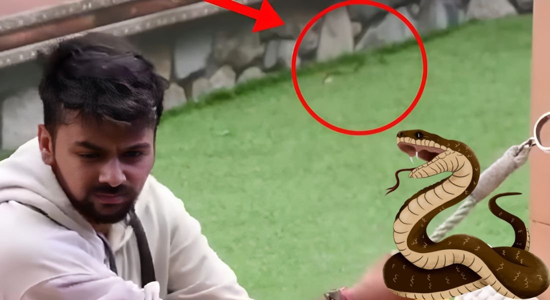 Bigg Boss OTT 3 Snake Spotted