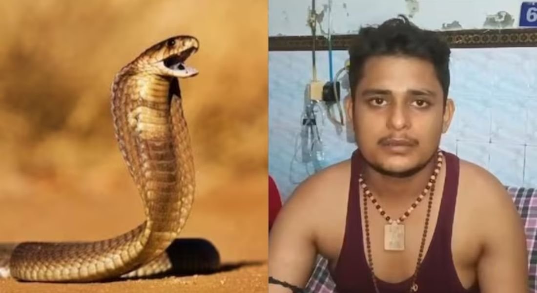 Uttar Pradesh man bitten by snake