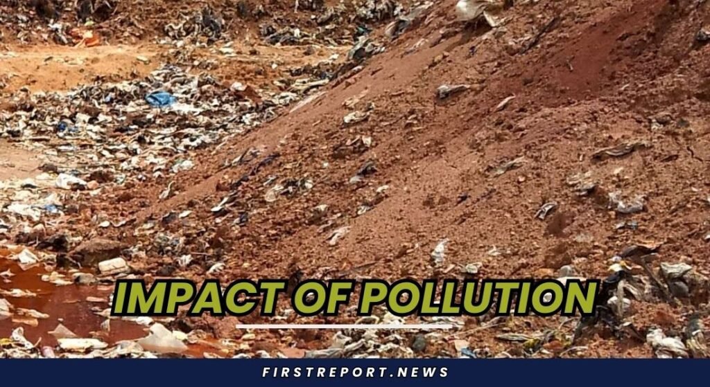 Impact of Pollution