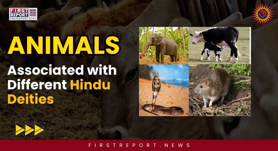 Hindu Deities Animals