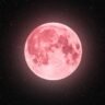 Strawberry Moon rises over the night sky ahead of the June 29, 2026 full moon event