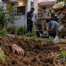 Police investigate a garden where a woman was found buried in Jaipur