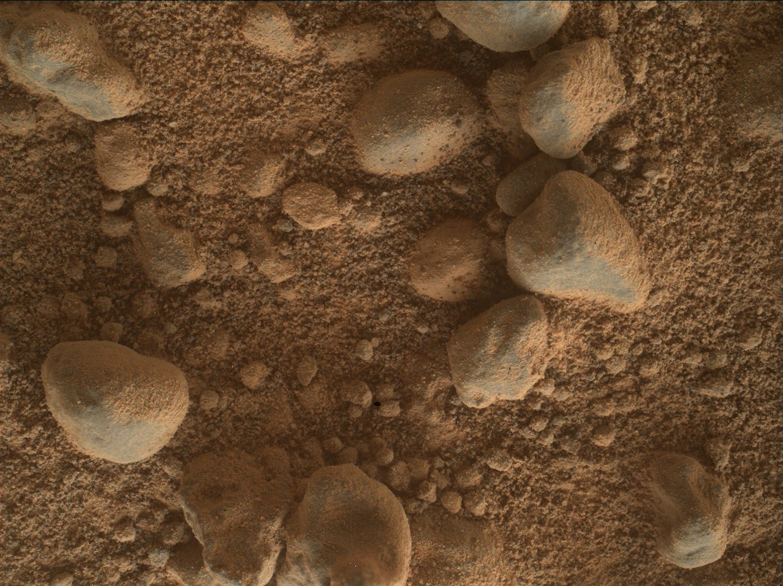 From the Curiosity Rover’s lens. Photo credit: NASA/JPL-Caltech/MSSS.